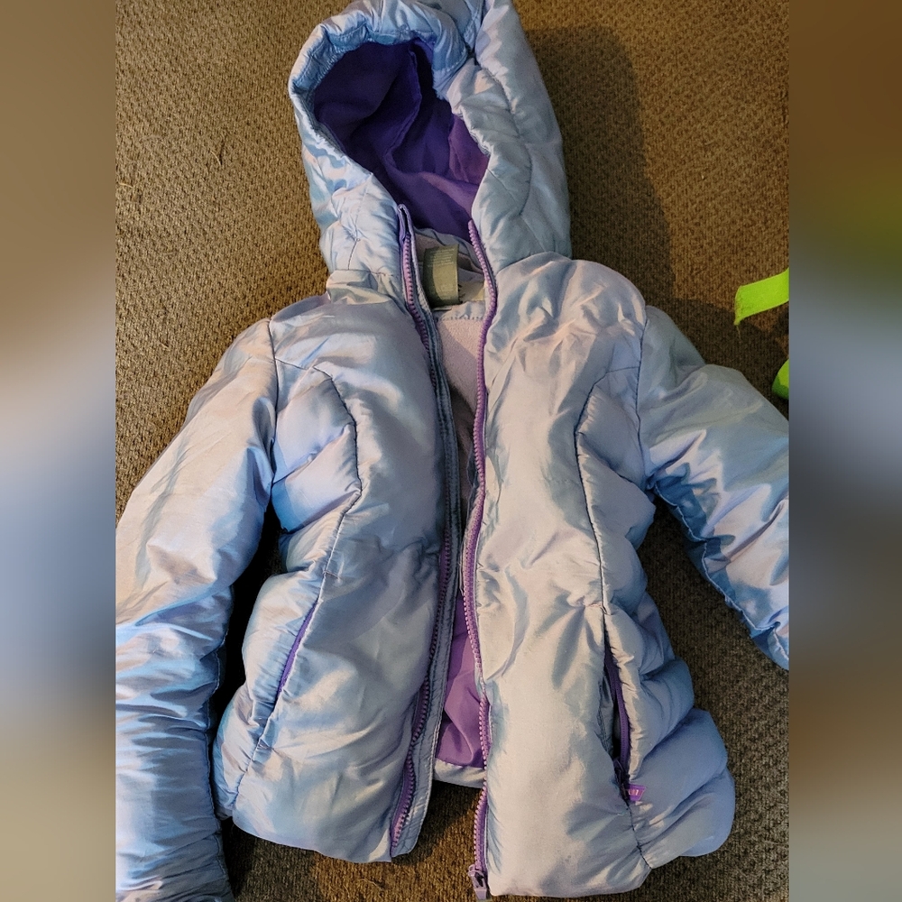 Champion Blue and Purple Puffer Jacket
